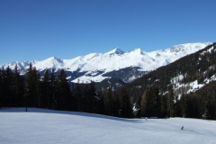 aut_n_013