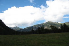 aut_sz-k_0050