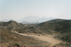 egy_h_017