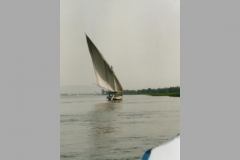 egy_l_007