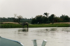 egy_l_008