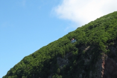 gbr_exm_015