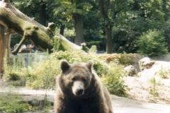 ger_b_0480