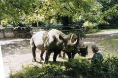 ger_b_0490