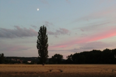ger_blk_0150