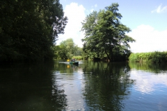 ger_blk_0170