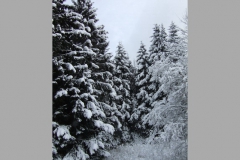 ger_brl_0100