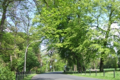 Braunschweig (2008): Hohetorwall