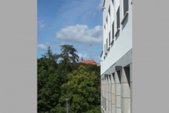 ger_fd_0310