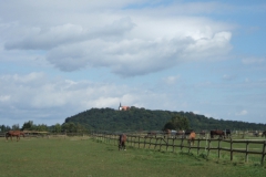 ger_fd_0410
