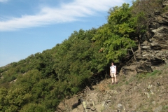 ger_goa_0110
