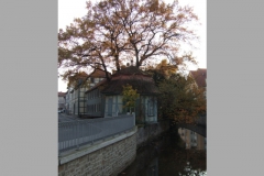 ger_goe_0160