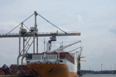 Hamburg (2006): Freihafen