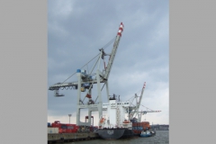 Hamburg (2006): Freihafen