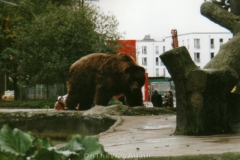 Hamburg (2001): Hagenbecks Tierpark