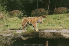 Hamburg (2001): Hagenbecks Tierpark