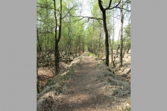 Hamburg (2011): Naturschutzgebiet Duvenstedter Brook