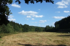 ger_kg_0170
