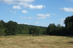 ger_kg_0180