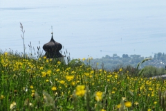 ger_li_0160