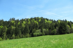 ger_li_0180