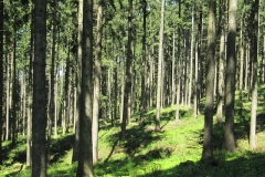 ger_li_0220