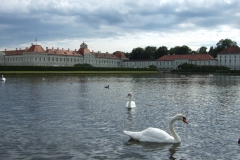 ger_m_0590