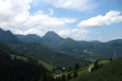 ger_ro_0290