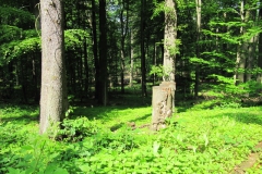 ger_rued_0180