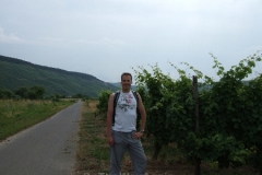 ger_wil_0100