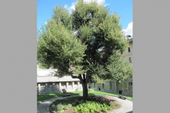 ita_ao_0080