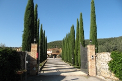 ita_si-g_0130