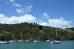 nzl_wi_0040
