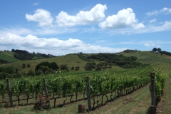 nzl_wi_0050