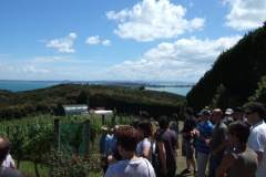 nzl_wi_0080