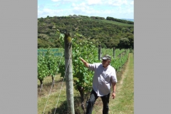 nzl_wi_0090