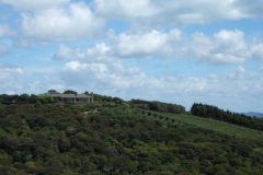 nzl_wi_0100