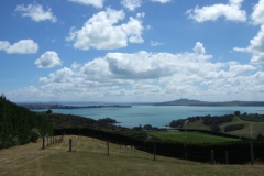 nzl_wi_0110