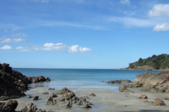 nzl_wi_0160
