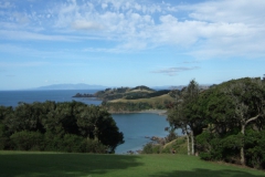 nzl_wi_0180