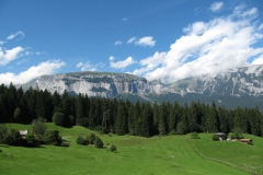sui_chr_0070