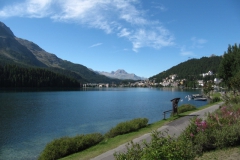 sui_smv_0010