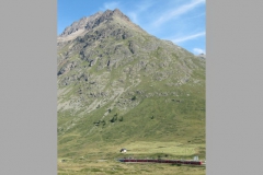 sui_smv_0040