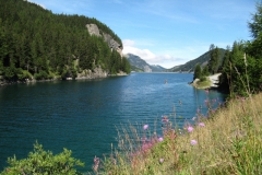 sui_smv_0140
